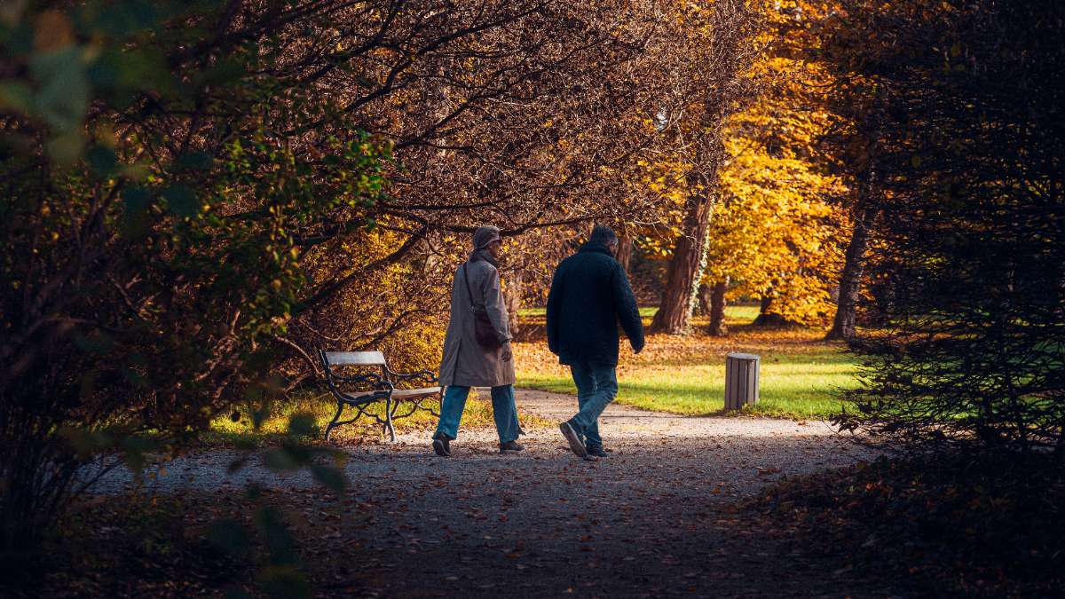 An older couple walking together along a tree-lined path
